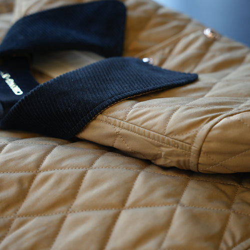 Damen Modische Steppjacke mit klassischem Kragen Echoarchiv