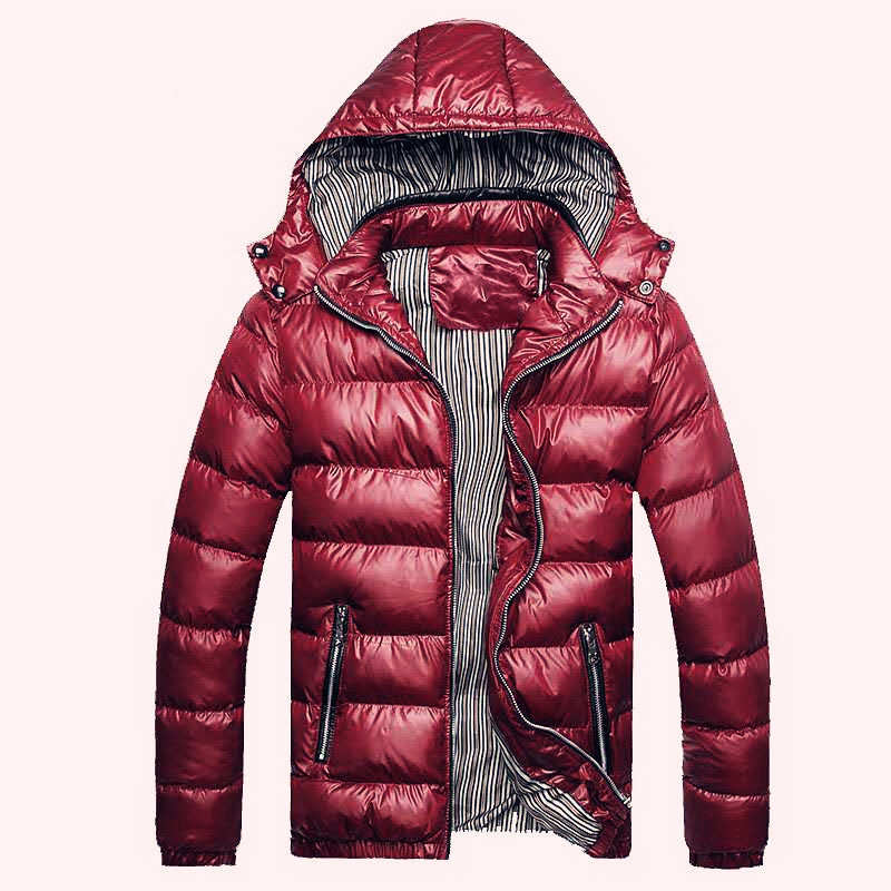 Herren Glänzende gesteppte Kapuzenjacke mit Thermo-Polsterung und gestreiftem Innenfutter Echoarchiv