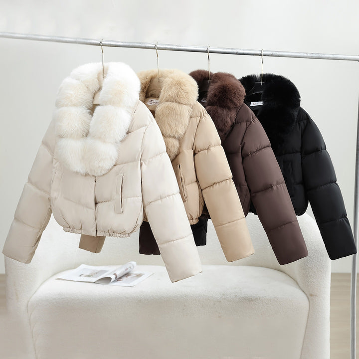 Damen Kurz‑Pufferjacke im Boxy‑Cut mit voluminösem Fellkragen und elastischem Saum Echo Archiv