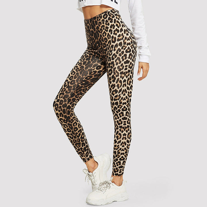 Damen Elegante Leggings im modischen Leopardenmuster Echoarchiv
