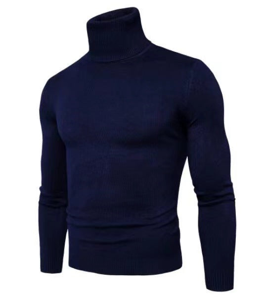 Herren modischer Rollkragenpullover aus feiner Merinowolle Echoarchiv