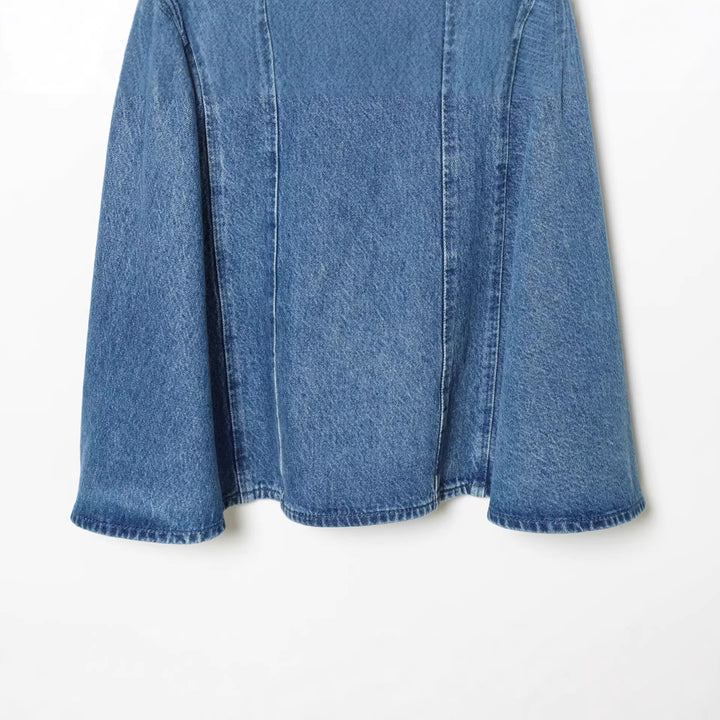 Damen Denim-Kleid mit Puffärmeln, Teilungsnähten und ausgestellter A-Linie Echoarchiv