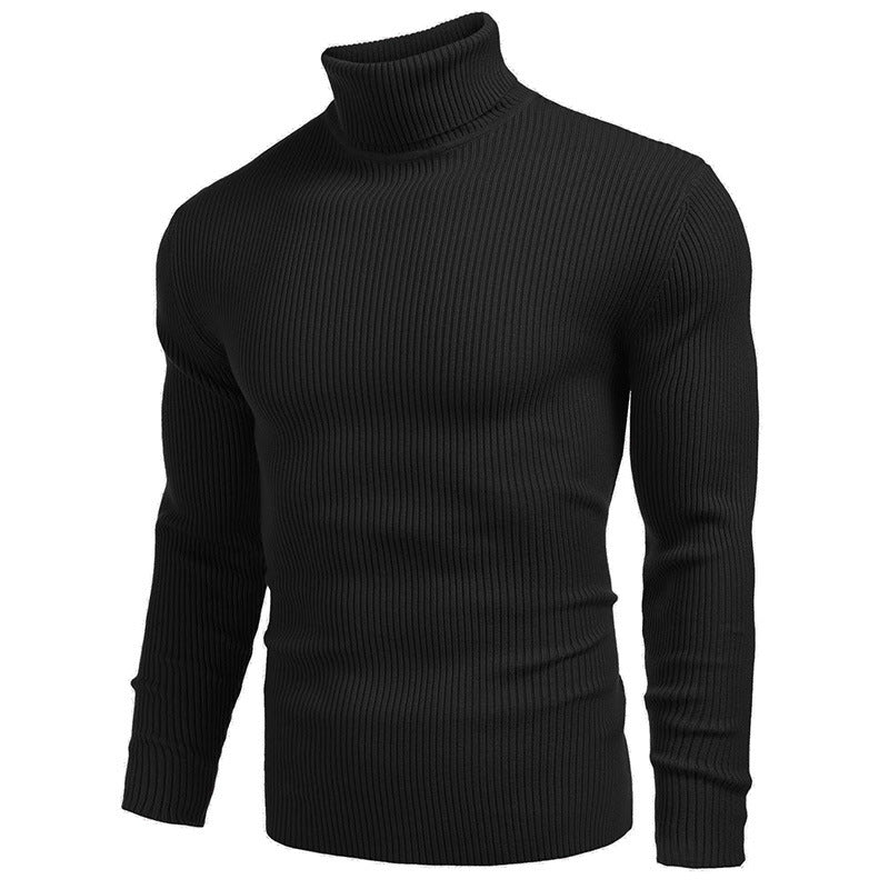 Herren Rollkragenpullover aus feiner Rippstruktur Echoarchiv