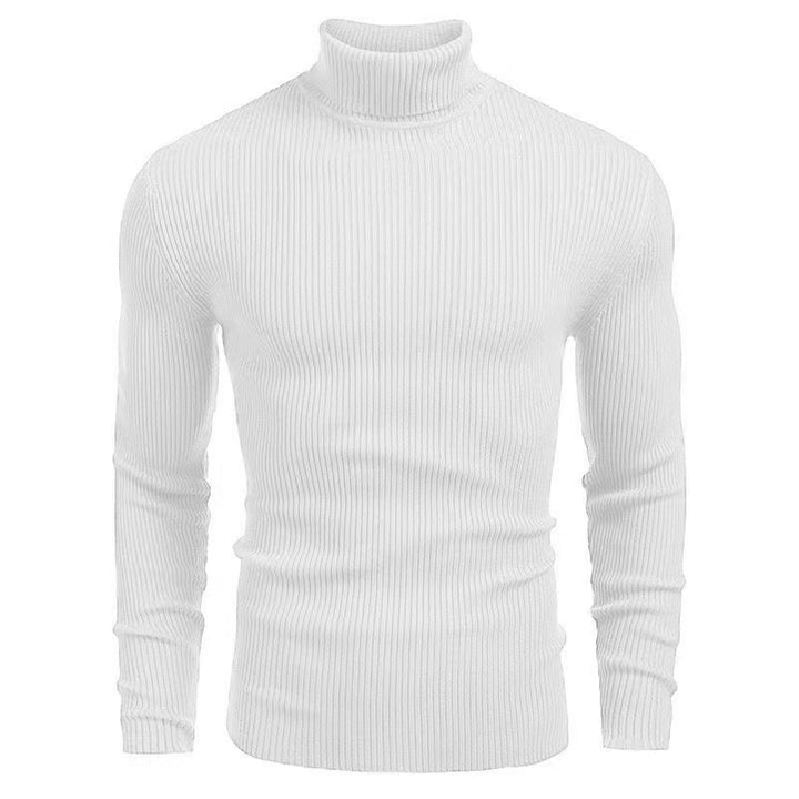 Herren Rollkragenpullover mit strukturiertem Rippenmuster Echoarchiv