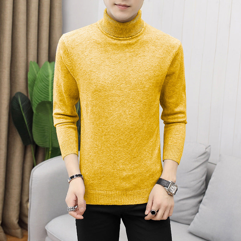 Herren modischer Rollkragenpullover mit feiner Struktur Echoarchiv