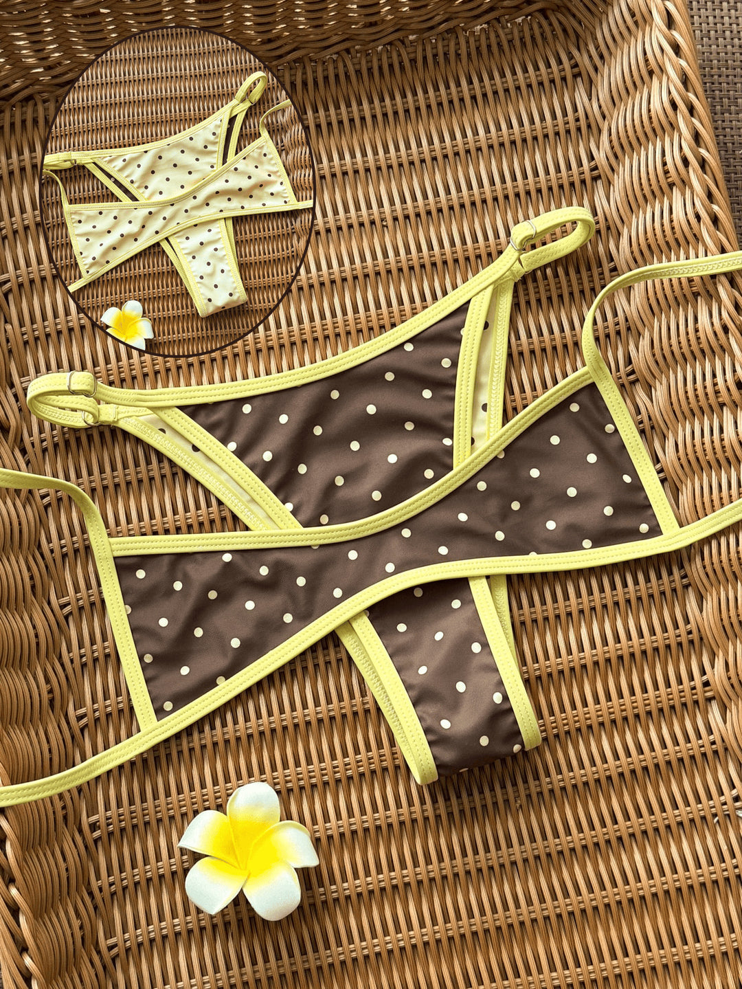 Damen Modischer Slip-Bikini mit trendigen Pünktchen Echo Archiv