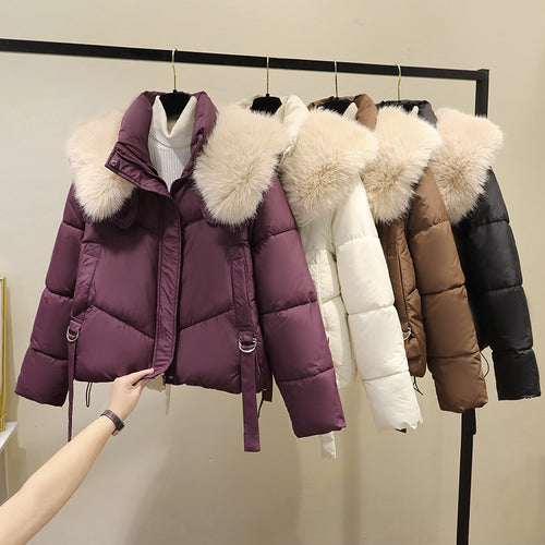 Damen kurzer gesteppter Puffer mit voluminösem Webpelzkragen und Taillenriemen – Célinea
