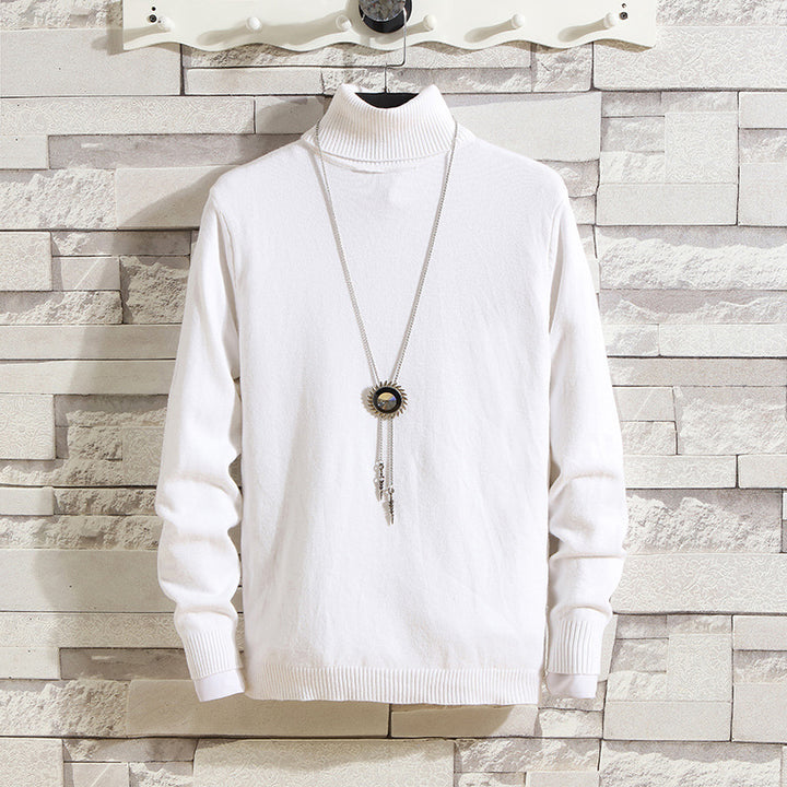 Herren Rollkragenpullover aus hochwertigem Strickmaterial Echoarchiv
