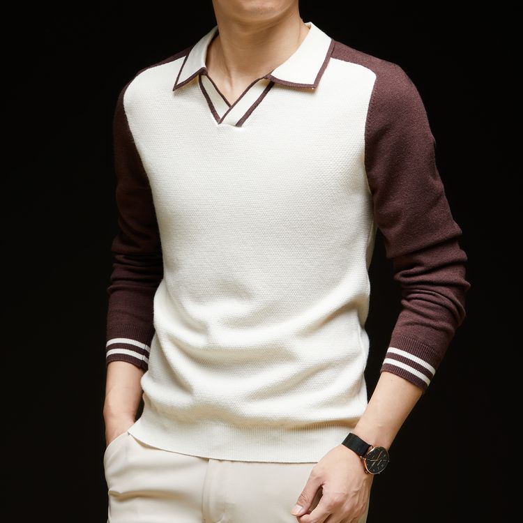 Herren Feinstrickpullover mit V-Ausschnitt und modischem Kontrastdesign Echoarchiv