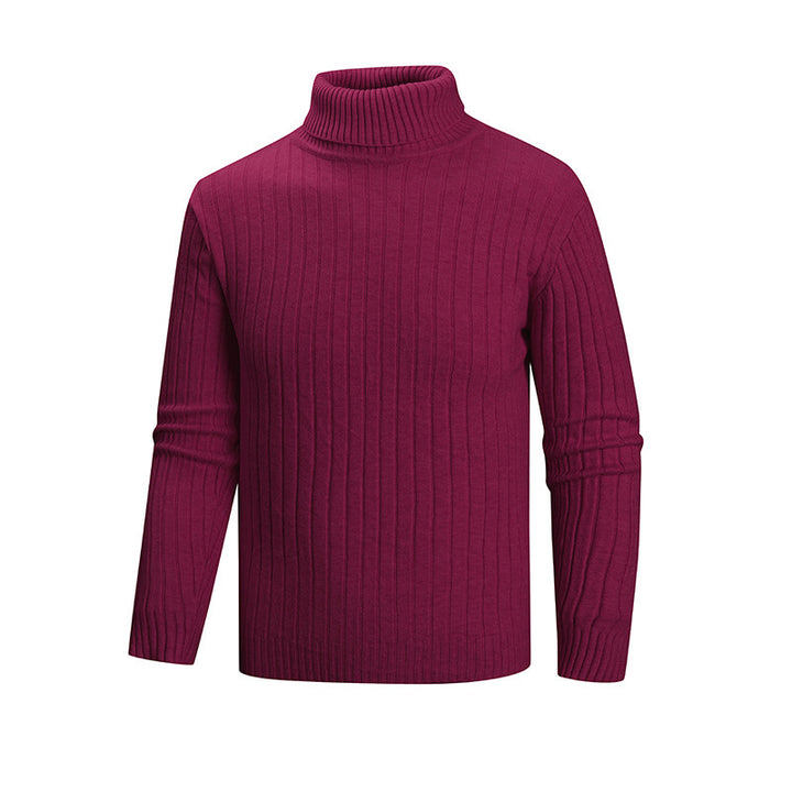 Herren Strickpullover mit Stehkragen Echoarchiv