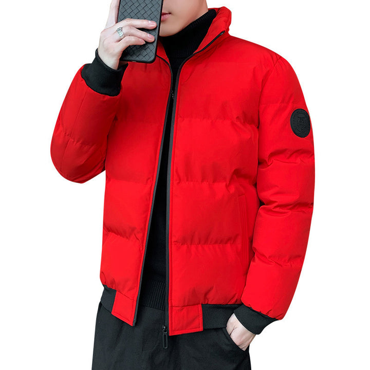 Herren gesteppte wattierte Stehkragen-Bomberjacke mit Thermo-Isolierung und elastischen Bündchen Echoarchiv