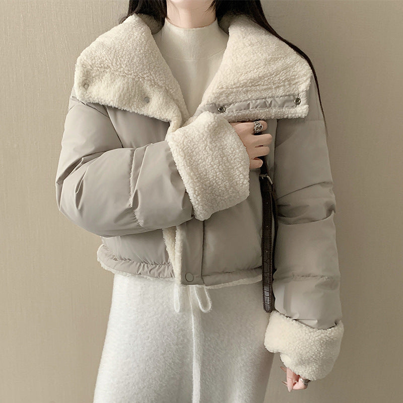 Damen nan kurze wattierte Jacke mit hochschließendem Schalkragen und Teddybündchen Echo Archiv