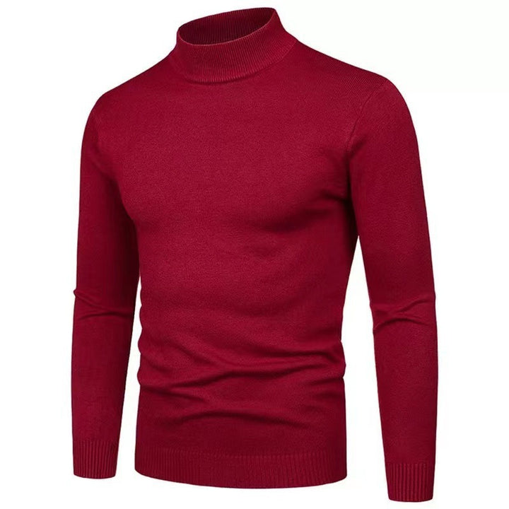 Herren Rollkragenpullover aus hochwertigem Strickmaterial Echoarchiv