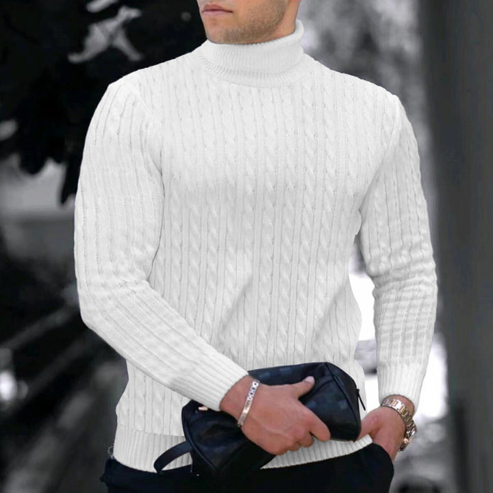 Herren moderner Rollkragenpullover mit strukturiertem Design Echoarchiv