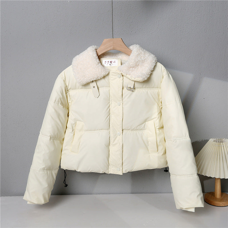 Damen nan kurze gesteppte Winterjacke mit Teddykragen, wattierter Isolierung und verdecktem Druckknopfverschluss Echo Archiv