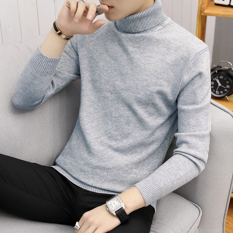 Herren modischer Rollkragenpullover mit feiner Struktur Echoarchiv