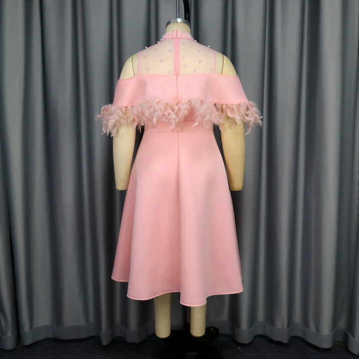Damen elegantes Kleid mit transparenten Puffärmeln und dekorativen Federdetails Echo Archiv