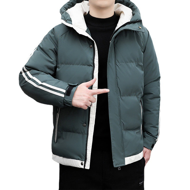 Herren Sportliche Daunenjacke mit hohem Kragen Echoarchiv