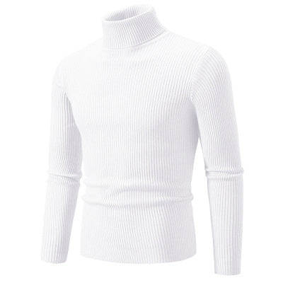 Herren Rollkragenpullover aus hochwertiger Rippenstrickqualität Echoarchiv