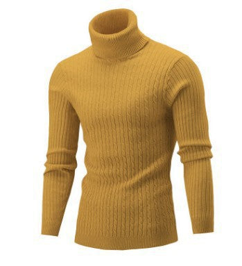 Herren nan gerippter Rollkragenpullover mit Zopfmuster und körpernaher Slim-Fit-Silhouette Echo Archiv