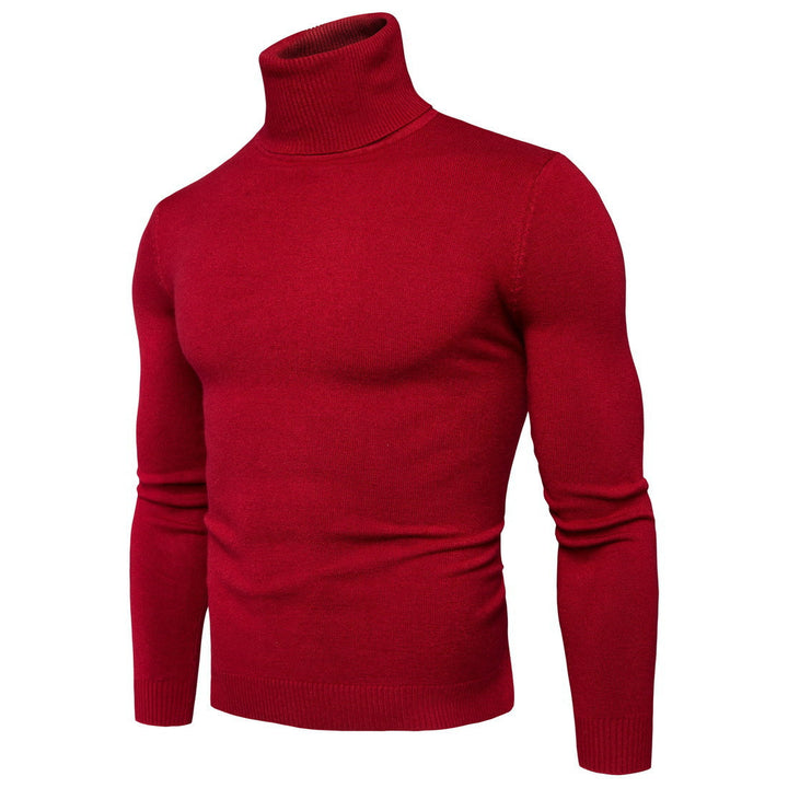 Herren Rollkragenpullover aus feiner Merinowolle Echoarchiv