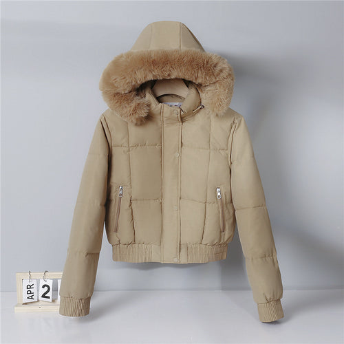 Damen kurzer isolierender Kapuzenblouson mit voluminöser Pelzkragenblende und elastischem Rippsaum – Célinea