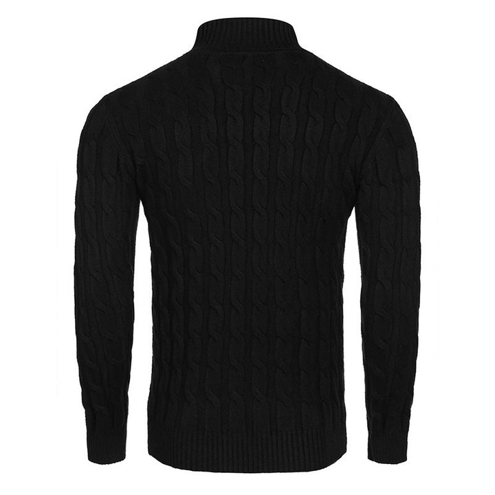 Herren modischer Rollkragenpullover mit Zopfmuster Echoarchiv