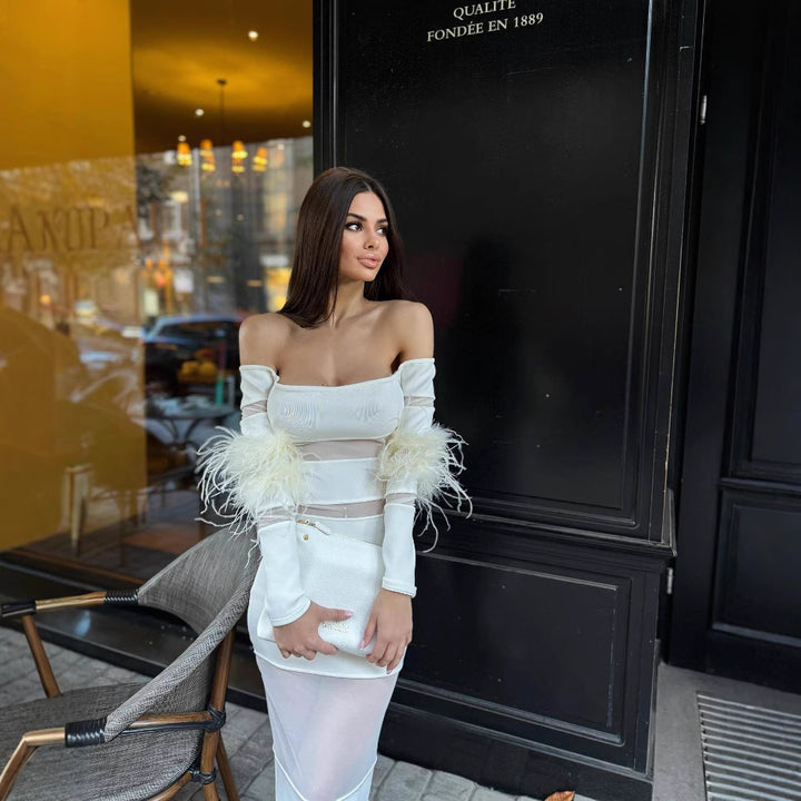Damen Elegantes Kleid mit transparenten Einsätzen und federverzierten Ärmeln Echo Archiv
