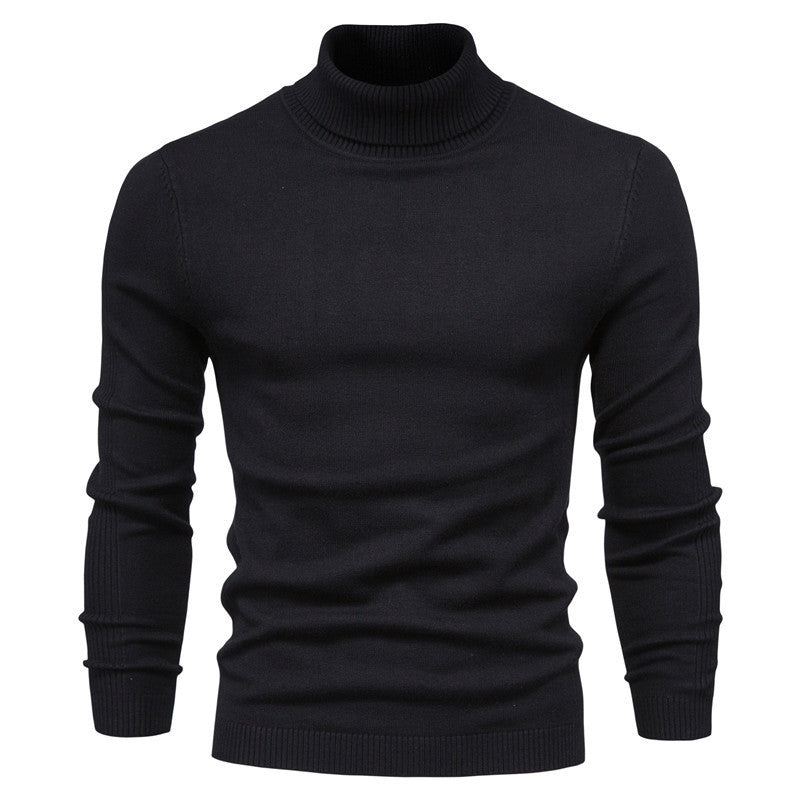 Herren Strickpullover mit hohem Kragen und feinem Rippmuster Echoarchiv