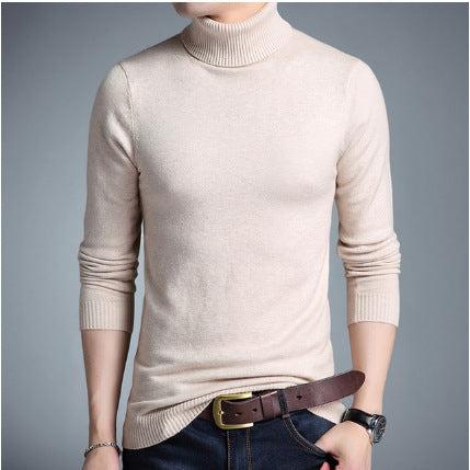 Herren Rollkragenpullover aus weichem Strick Echoarchiv
