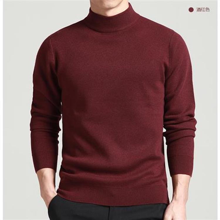 Herren Hochwertiger Rollkragenpullover Echoarchiv