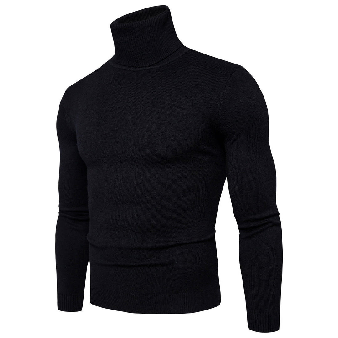 Herren Rollkragenpullover aus feiner Merinowolle Echoarchiv