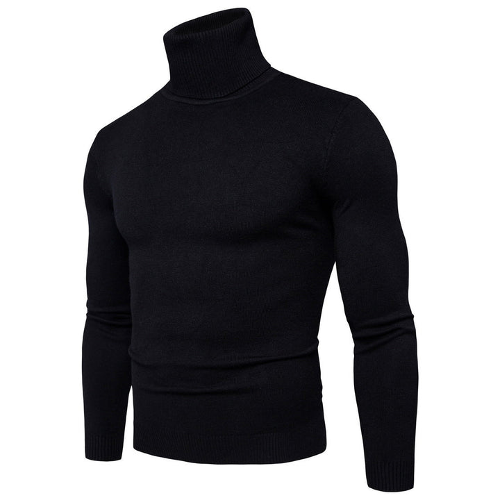 Herren Rollkragenpullover aus feiner Merinowolle Echoarchiv