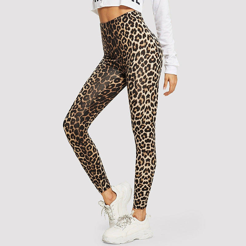 Damen Elegante Leggings im modischen Leopardenmuster Echoarchiv
