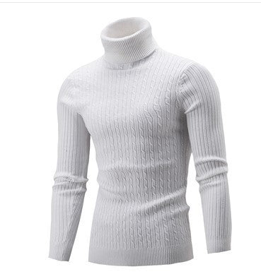 Herren stilvoller Rollkragenpullover mit Zopfmuster Echoarchiv