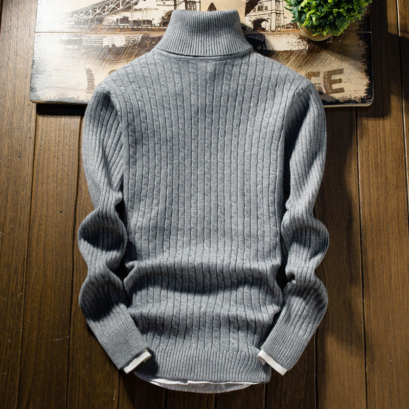 Herren Rollkragenpullover mit Zopfmuster Echoarchiv