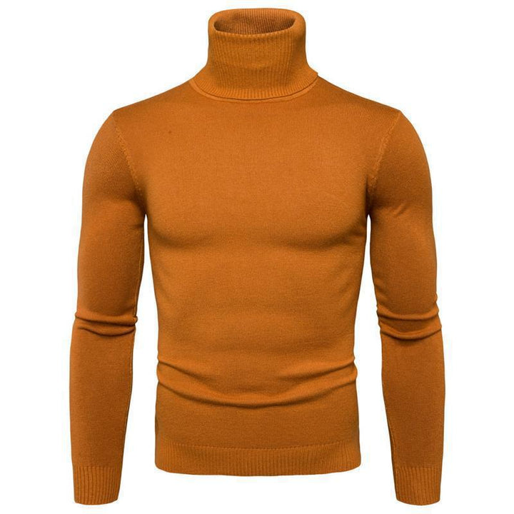 Herren Rollkragenpullover aus feiner Merinowolle Echoarchiv