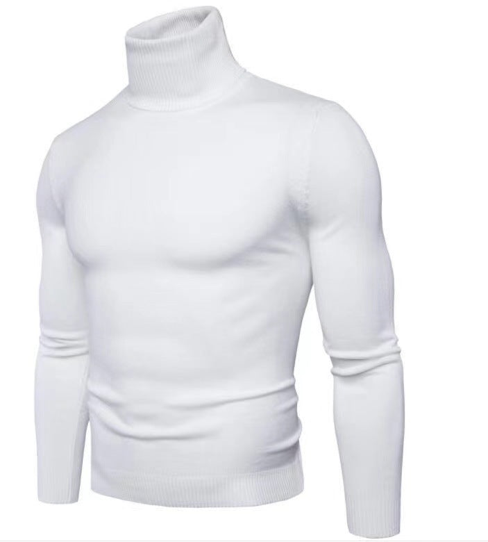 Herren modischer Rollkragenpullover aus feiner Merinowolle Echoarchiv