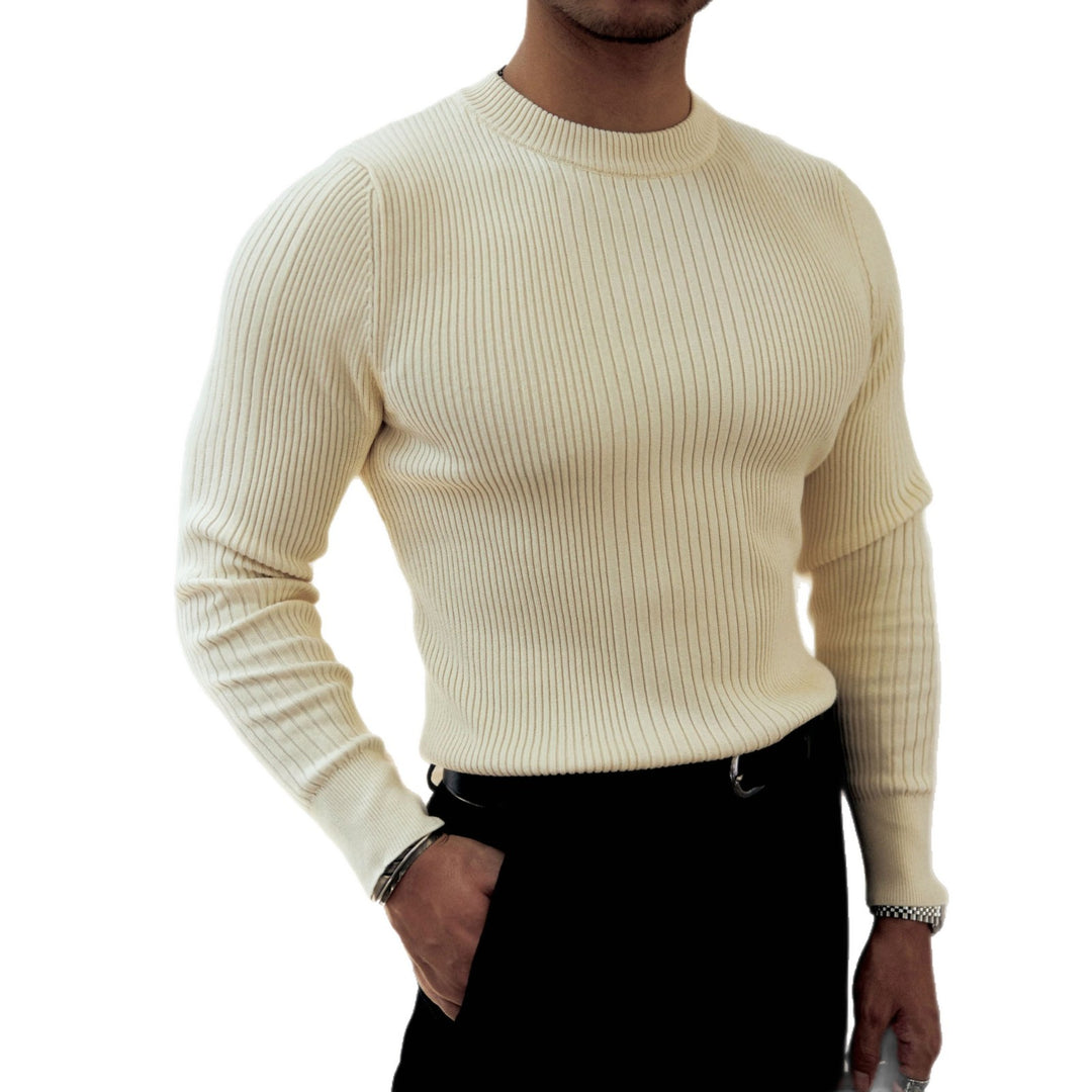 Herren Modischer Rippstrickpullover Echoarchiv