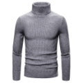 Herren Stehkragen Pullover aus feiner Rippenstrick Echoarchiv