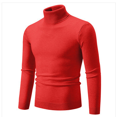 Herren Rollkragenpullover aus weichem Feinstrick Echoarchiv