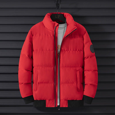 Herren Wattierte Winterjacke Echo Archiv