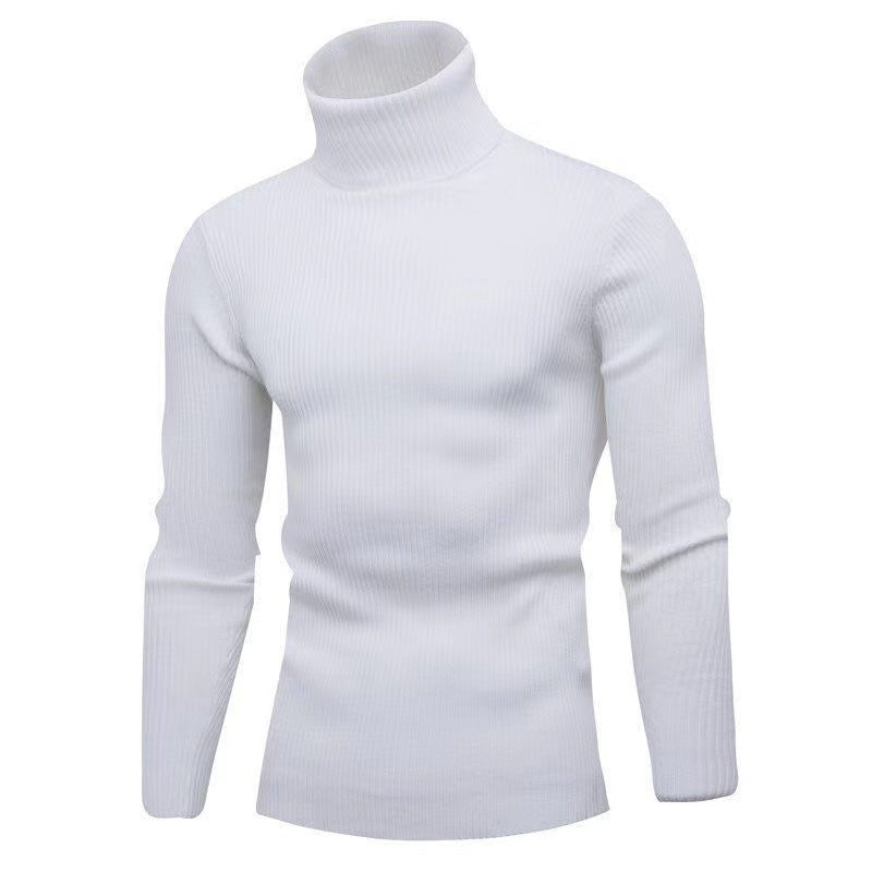 Herren modischer Rollkragenpullover mit feiner Rippstruktur Echoarchiv