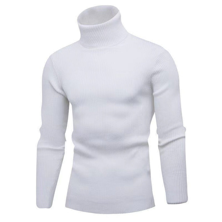Herren modischer Rollkragenpullover mit feiner Rippstruktur Echoarchiv