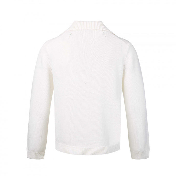 Herren Feinstrickpullover mit V-Ausschnitt und umgelegtem Hemdkragen Echo Archiv