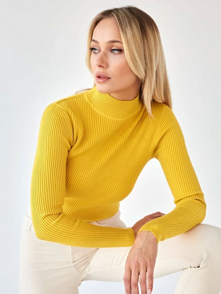 Damen Kurzgeschnittener Rippstrick‑Rollkragenpullover mit taillierter Passform Echo Archiv