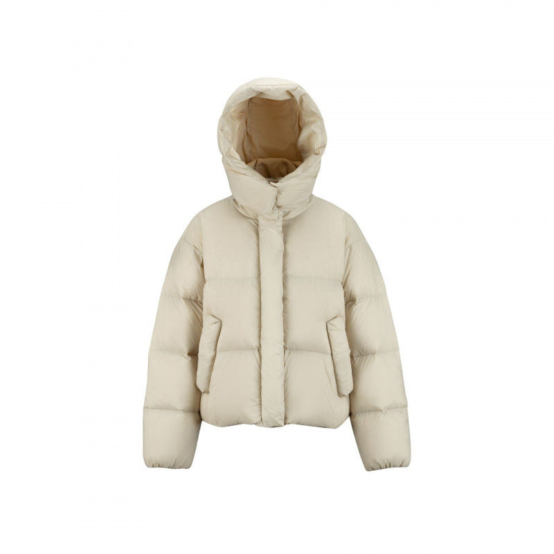 Damen Kurz gepolsterte Crop‑Steppjacke mit Volumen‑Kapuze und verdeckter Druckknopfleiste Echo Archiv