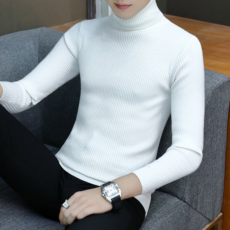 Herren Eleganter Rippstrick Rollkragenpullover Echoarchiv
