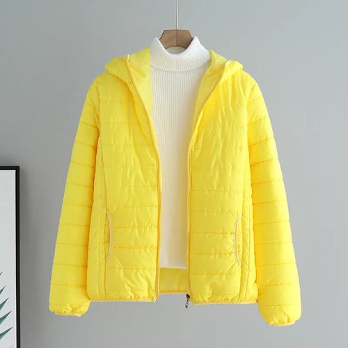 Damen gesteppte Übergangsjacke mit praktischen Taschen und Kapuze Echoarchiv
