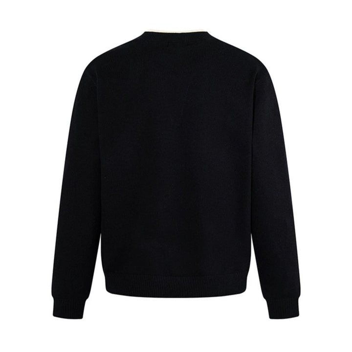 Herren Feinstrick-Pullover mit V‑Schlitzkragen und Rippabschluss Echoarchiv